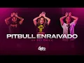 Lagu Pitbull Enraivado - Oh Polêmico | FitDance (Coreografia)