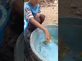 Download Lagu How to Pick up a Duck # #duck #mainanbebek #cute #funny #animals #ducklingspro