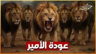 اعتقدناه هارب ا خائن ا  لكنه عاد أمير الماجينجلانز المهيب  دندنها