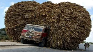 Dangerous Idiots Fastest Logging Wood Truck Operator Fails & Skills, Heavy Equipment Truck Fails
