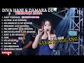 Download Lagu SAKIT PINGGANG - DIVA HANI TERBARU FULL ALBUM DANGDUT KOPLO 2024 || DUDIDAMSMUSIC