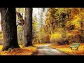 Download Lagu Самых Невероятно Красивых и Нежных Мелодий, до глубины Души! музыка Сергей Грищук