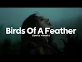 Lagu Billie Eilish - BIRDS OF A FEATHER (sped up+reverb)