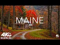 Download Lagu Autumn Maine 4K (UHD) • Relaxation Film with Piano Music | Nature 4K Ultra HD