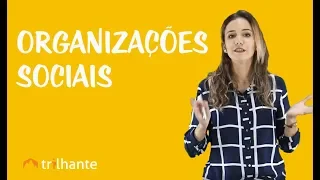 Terceiro Setor - Organizações Sociais