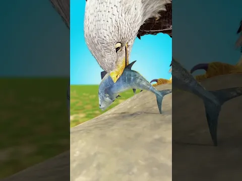 பாதி வாய் உடைந்த கழுகு 🦅 #tamil #animation #stories #shorts  #eagle #rescue #beak #3dprinting #help