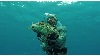 SPEARFISHING BAHAMAS