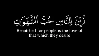 زين للناس حب الشهوات كروم سوداء للتصميم تلاوه هادئه جدا القارئ عبد الرحمن مسعد 