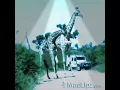 Download Lagu giraffes head band to rock music