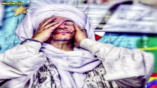 الشيخ أمين الدشناوي    منهم ومنهم ومنهم دندنها