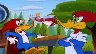 Woody Doesn't Want to Go to School 🎓 | Woody Woodpecker