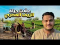 Lagu سافرت للريف المصري وعشت أحلى يوم 😍
