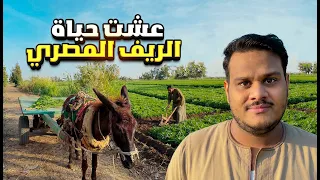 سافرت للريف المصري وعشت أحلى يوم 😍