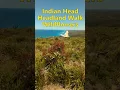 Download Lagu Wandeling langs Indian Head Headland en wilde bloemen #NSW #midnorthcoast