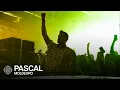 Download Lagu PASCAL | UTOPIA | MoldExpo | Melodic Progressive Techno MP3