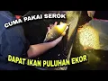 Download Lagu Berburu ikan menggunakan serok || Dapat 1 galon penuh..‼️