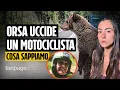 Download Lagu ORSA UCCIDE MOTOCICLISTA: COSA SAPPIAMO