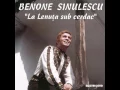 Lagu Benone Sinulescu - Viață, viață, drum cotit