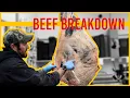 Beef Breakdown - Carcass Breakdown