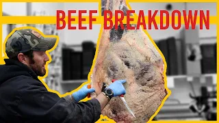 Beef Breakdown - Carcass Breakdown