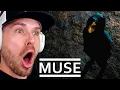Download Lagu MUSE - COMPLIANCE (REACTION!!!)