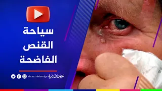 سياحة القنص في البوسنة فضيحة جديدة للغرب 