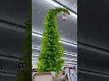 finding the Grinch tree at Hobby Lobby