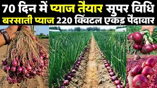 Pyaj ki kheti🌧️बरसाती प्याज की खेती | Pyaj ki kheti kese kare🌱best variety खाद-दवा-स्प्रे AtoZ Video