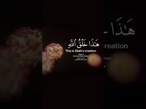 حقيقة علمية مبهرة ( إبداع الخالق ) الدكتور محمد راتب النابلسي