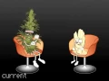 Marijuana VS Crystal Meth - The master debaters