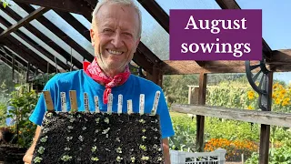 7 Vegetables to Sow in Late Summer for Autumn & Winter