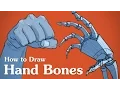 How to Draw Hand Bones - Drawing Anatomy for Artists