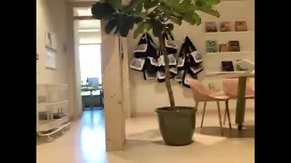                                                   دندنها