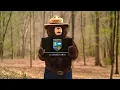 Download Lagu High Five to Smokey \u0026 Forester Seth: Tips to Prevent 2022 Wildfires in Georgia