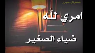 امري لله الدنيه جدا ضايقتني ضياء الصغير 