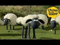 Lagu 🤣🌾 Shaun Makes Farm Life Funny! 🐑 Shaun the Sheep 🐑  🐑 Full Episodes Compilation [1 hour]
