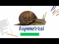 Asymmetrical Animals