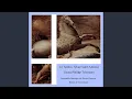 Download Lagu Fantaisia in B-Flat Major, TWV. 40:5