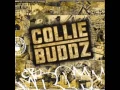 Download Lagu Collie Buddz - [Collie Buddz ] Come Around HQ