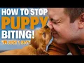 How To STOP Puppy Biting In 1 Day EVERY TIME