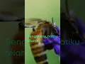 Download Lagu kata kata baper kerinduan