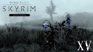 Finding Helgi Skyrim Special Edition Walkthrough 15
