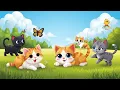 Toddler Song About Cats Learn with Cute Kittens Fun Preschool Educational