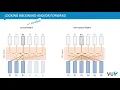 Lecture 5 1 Sequence models DLVU