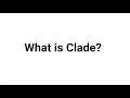 What is Clade