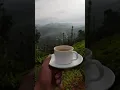 Download Lagu Morning Tea with #Korome #Wayanad