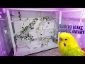 How to Build a Large Aviary The Ultimate Guide