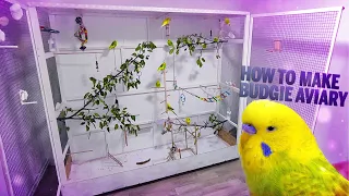 How to Build a Large Aviary The Ultimate Guide