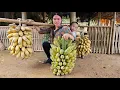 Download Lagu \