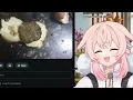 Vtubers React To